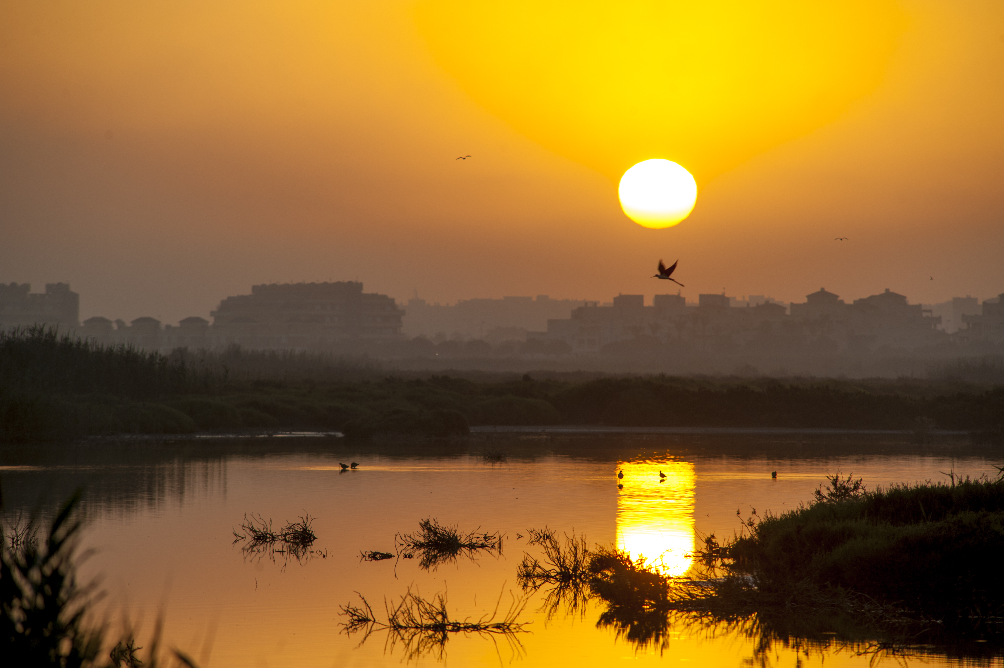 Antigüa salina de Punta Entinas